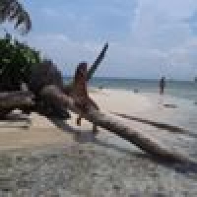 Robin is looking for a Room in Leiden