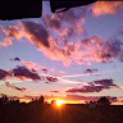 Cristina zoekt een Kamer / Huurwoning / Studio / Appartement in Leiden