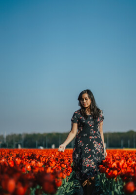 Erica is looking for a Room / Rental Property / Studio / Apartment in Leiden